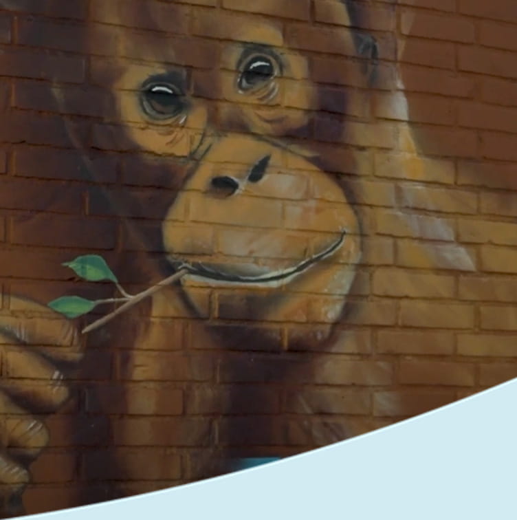 Muurschildering van een orang-oetan op een stenen elektriciteitshuisje. De aap kijkt vriendelijk en houdt een takje met blaadjes in zijn hand.