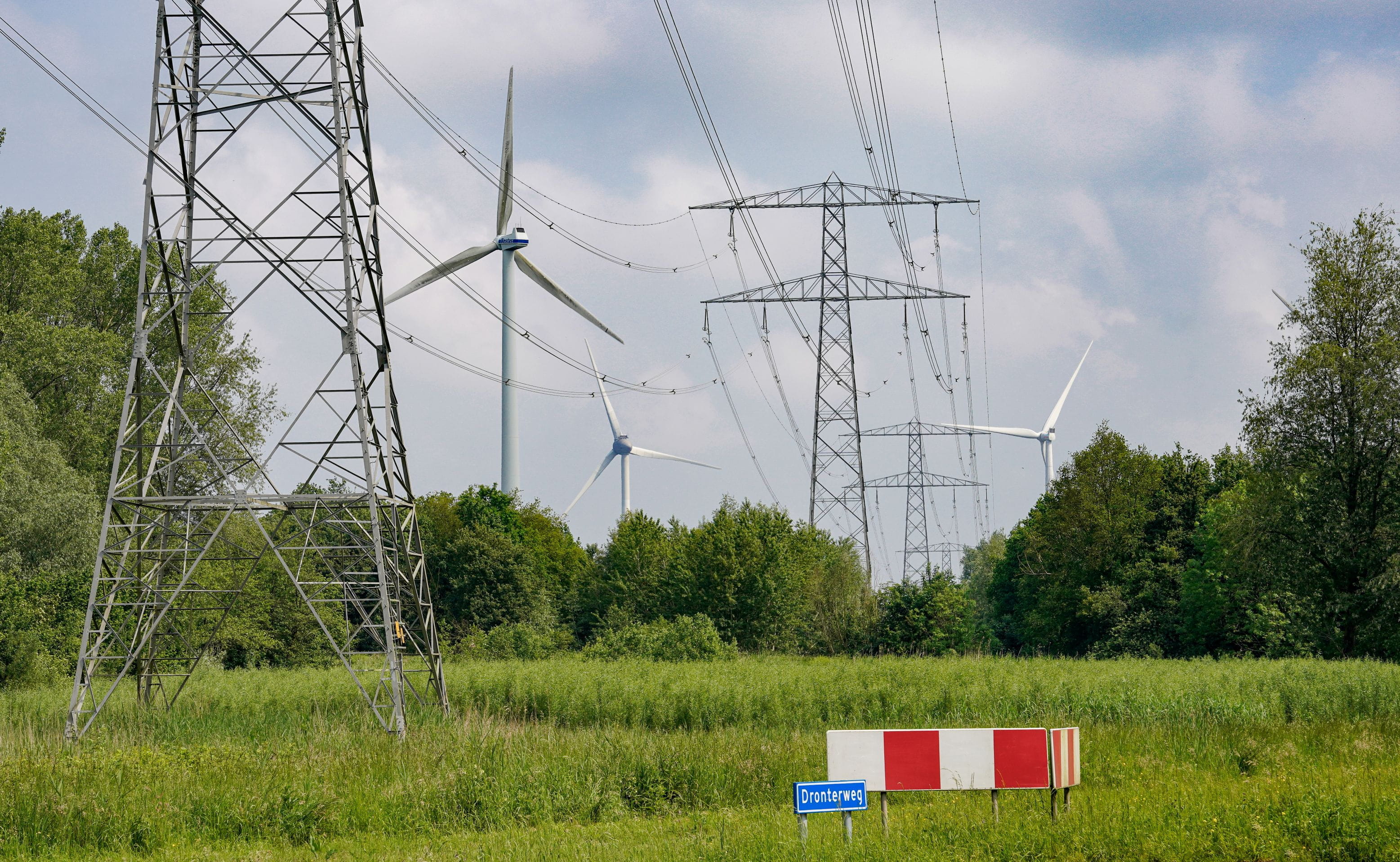 Hoogspanningsmasten in een groen natuurgebied, met gras en bomen