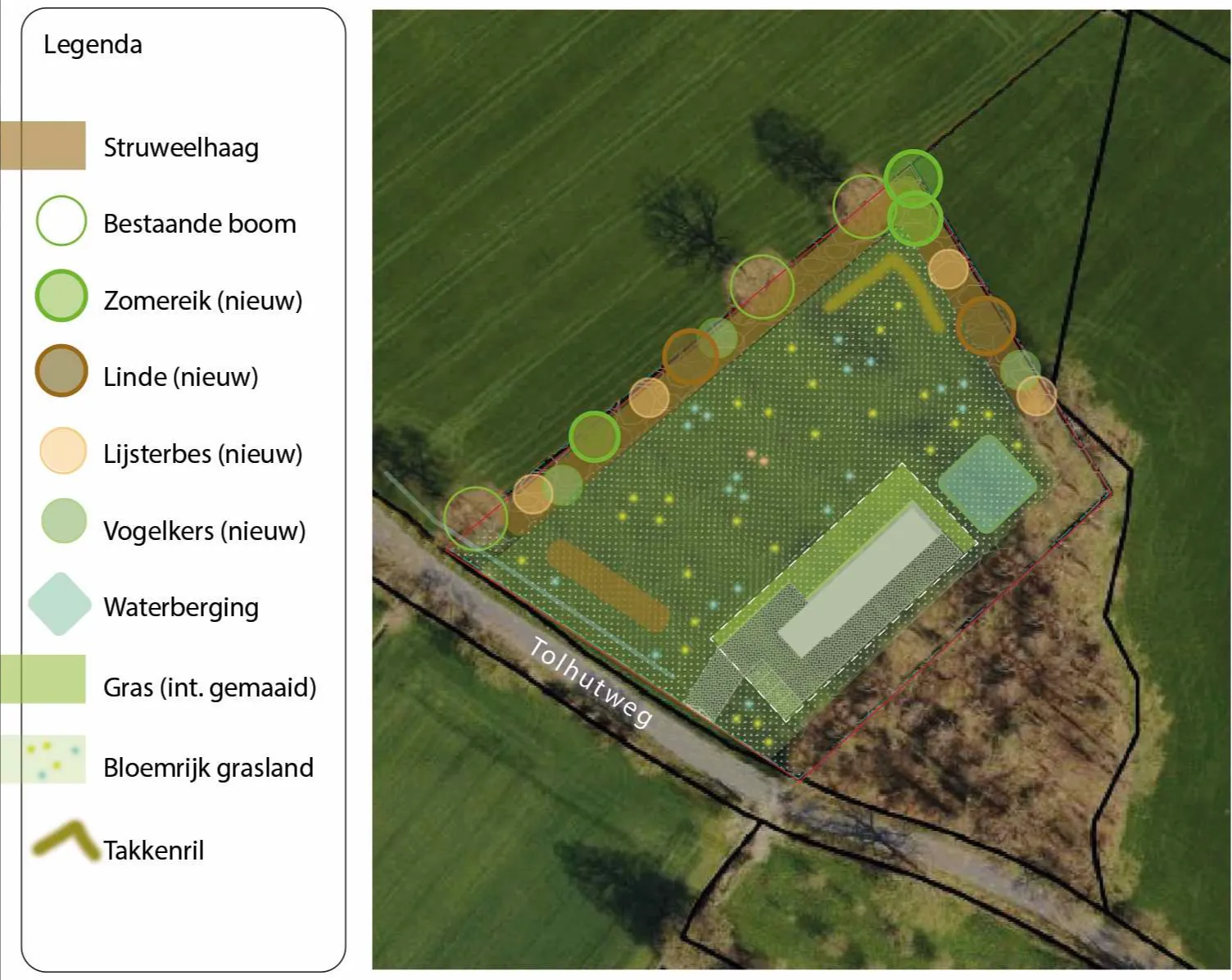 Inpassingsplan van het nieuwe regelstation aan de Tolhutweg met hagen, bestaande en nieuwe bomen, waterberging, bloemrijk grasland en een takkenril