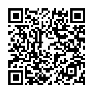 QR BouwApp regelstation Zuiderzeewijk Lelystad