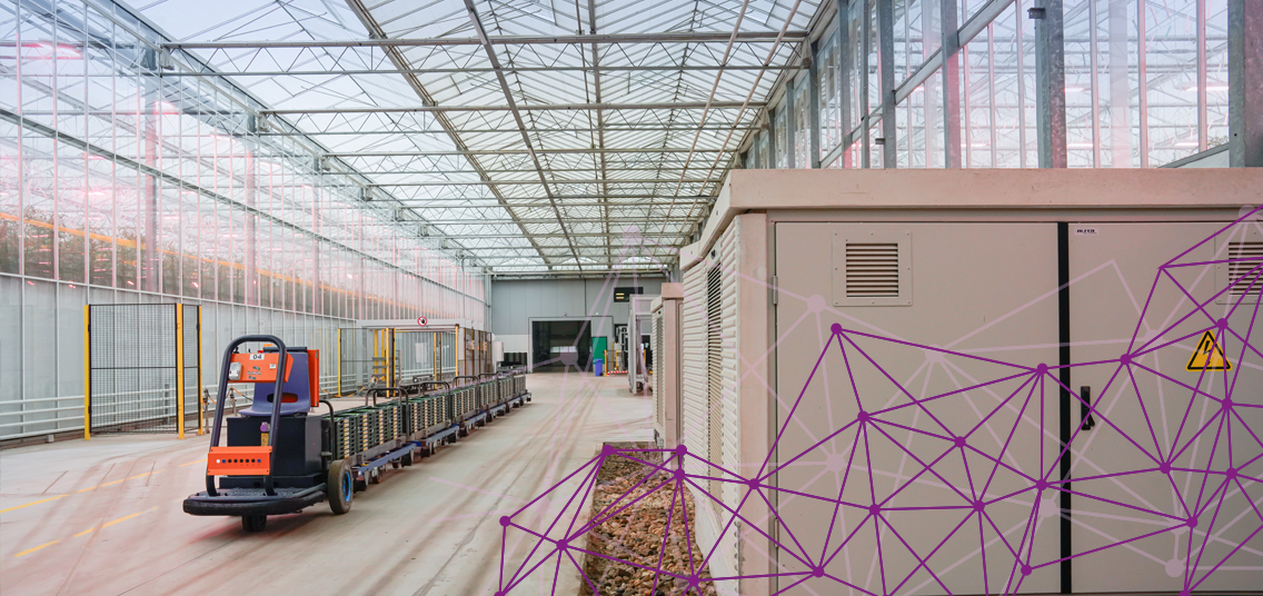 Een kas waar je een elektriciteitsinstallatie ziet staan met daarom heen datastromen